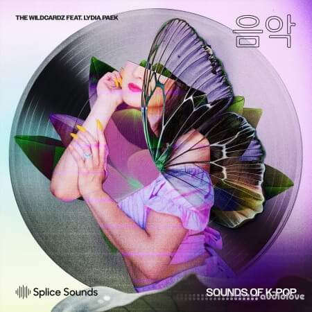 Splice Sounds Wildcardz Feat. Lydia Paek Sounds of K-Pop