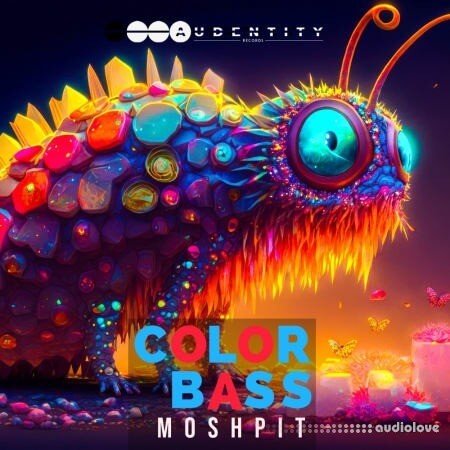 Audentity Records Color Bass Moshpit