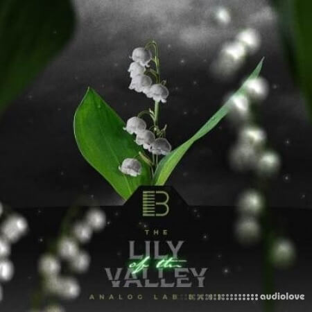 Brandon Chapa Lily Of The Valley (Analog Lab Bank)