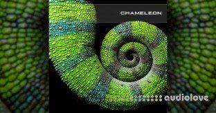 SoundsDevine Chameleon