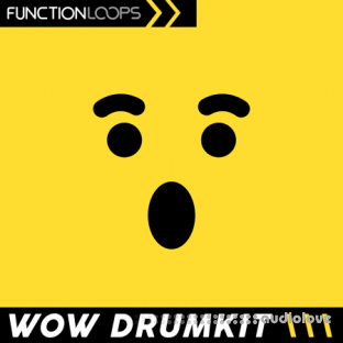 Function Loops Wow Drumkit Hyperpop and Beyond