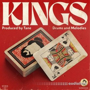 Tane Kings Drums and Melodies