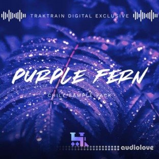 TrakTrain Purple Fern Chill