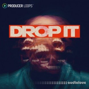 Producer Loops Drop It