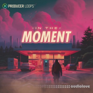 Producer Loops In The Moment