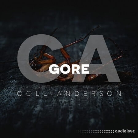 C.A. Sound Inc Gore