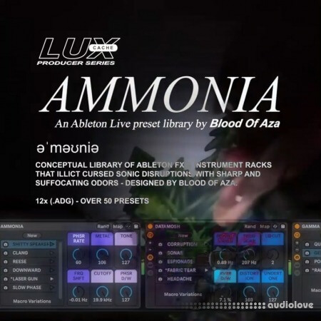 Lux Cache LC Producer Series : 'AMMONIA' BY BLOOD OF AZA