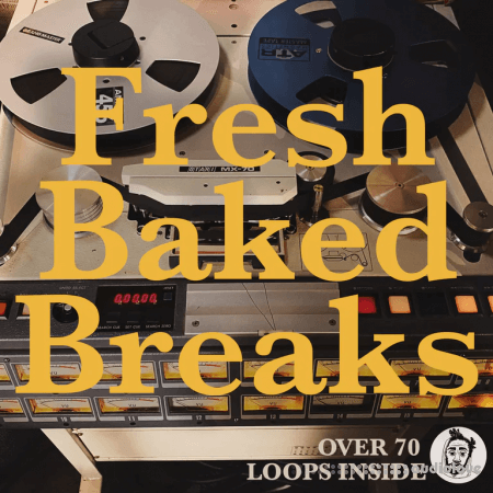 STLNDRMS Fresh Baked Breaks