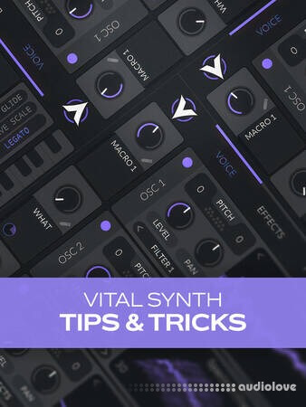 Groove3 Vital Synth Tips and Tricks