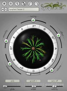 Sonic Charge Synplant 2