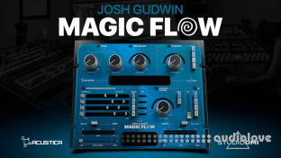 Acustica Audio Magic Flow