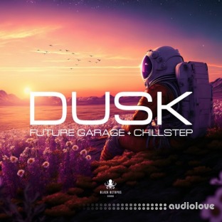 Black Octopus Sound Dusk Future Garage and Chillstep