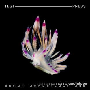 Test Press Serum Dancefloor DnB