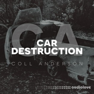 C.A. Sound Inc Car Destruction