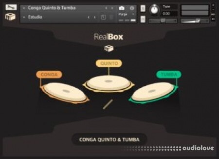 RealBox Conga Quinto and Tumba