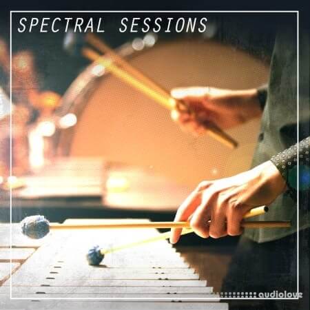 Prime Loops Spectral Sessions