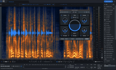 iZotope RX 10 Audio Editor Advanced