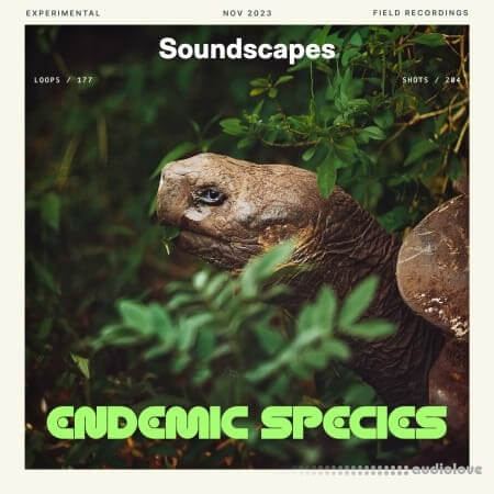 Splice Soundscapes Endemic Species