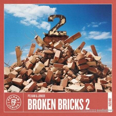 Pelham and Junior Broken Bricks 2