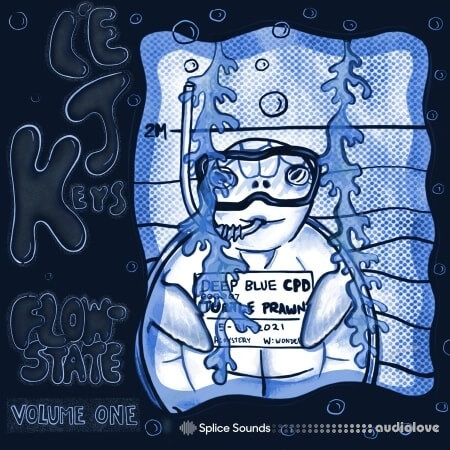 Splice Sounds LejKeys Flow-State Vol. 1 Sample Pack