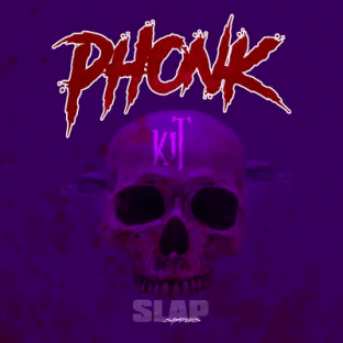 Dank Slaps Phonk Slaps Sample Kit