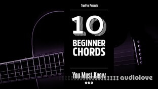 Truefire Jeff Scheetz's 10 Beginner Guitar Chords You MUST Know