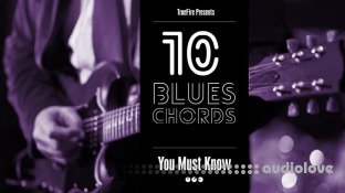 Truefire Jeff Scheetz's 10 Blues Guitar Chords You MUST Know