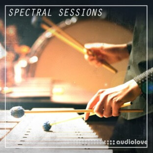 Prime Loops Spectral Sessions