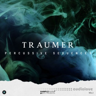 Sample Market Traumer Percussive Sequences