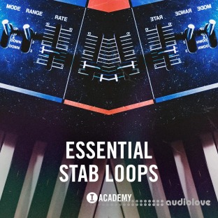 Toolroom Academy Essential Stab Loops