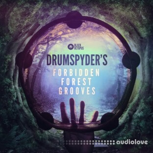 Black Octopus Drumspyder's Forbidden Forest Grooves