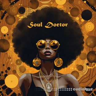 LEX Sounds Soul Doctor: Vintage Soul