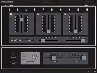 Audiopunks AP Telefunken Echomixer