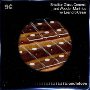 Sonic Collective Brazilian Glass, Ceramic and Wooden Marimba w/ Leandro Cesar