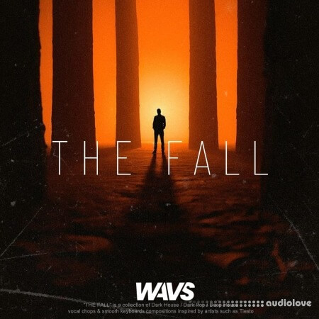 WAVS mentura THE FALL Dark House