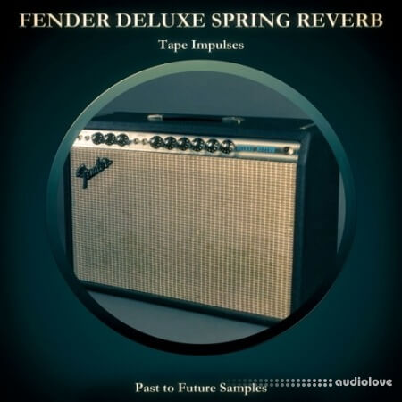 PastToFutureReverbs Fender Deluxe Spring Reverb