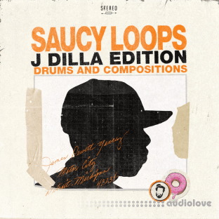 Tane Saucy Loops J Dilla Edition