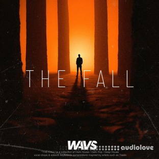 WAVS mentura THE FALL Dark House