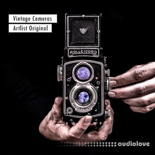 Artlist Vintage Cameras SFX Pack