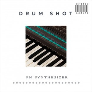 Kryptic Samples Drum Shot: FM Synthesizer