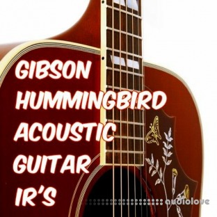 PastToFutureReverbs Gibson Hummingbird Acoustic Guitar Impulse Responses