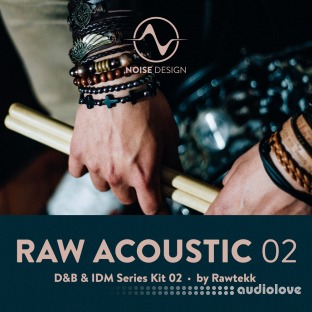 Steinberg Noise Design Raw Acoustic DnB and IDM 2