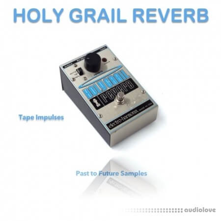 PastToFutureReverbs Holy Grail Reverb Peda