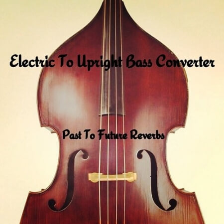 PastToFutureReverbs Kemper Electric Bass to Acoustic Upright Contrabass Converter!