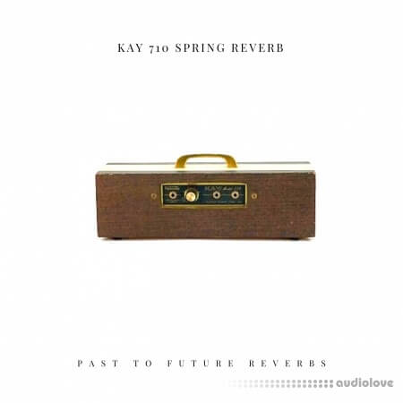 PastToFutureReverbs KAY 710 Spring Reverb