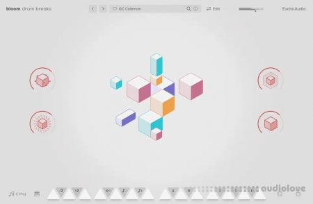 Excite Audio Bloom Drum Breaks