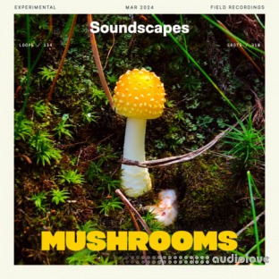 Splice Soundscapes Mushrooms