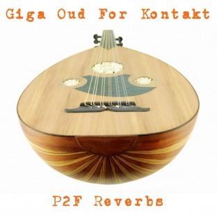 PastToFutureReverbs Oud For KONTAKT!