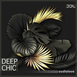 Deep Data Loops Deep Chic