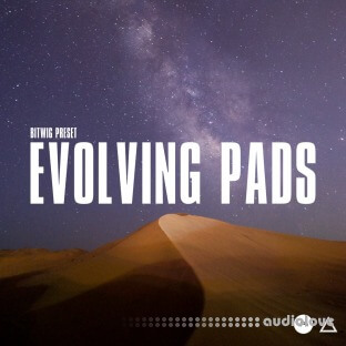 Polarity Music Bitwig Evolving Pads